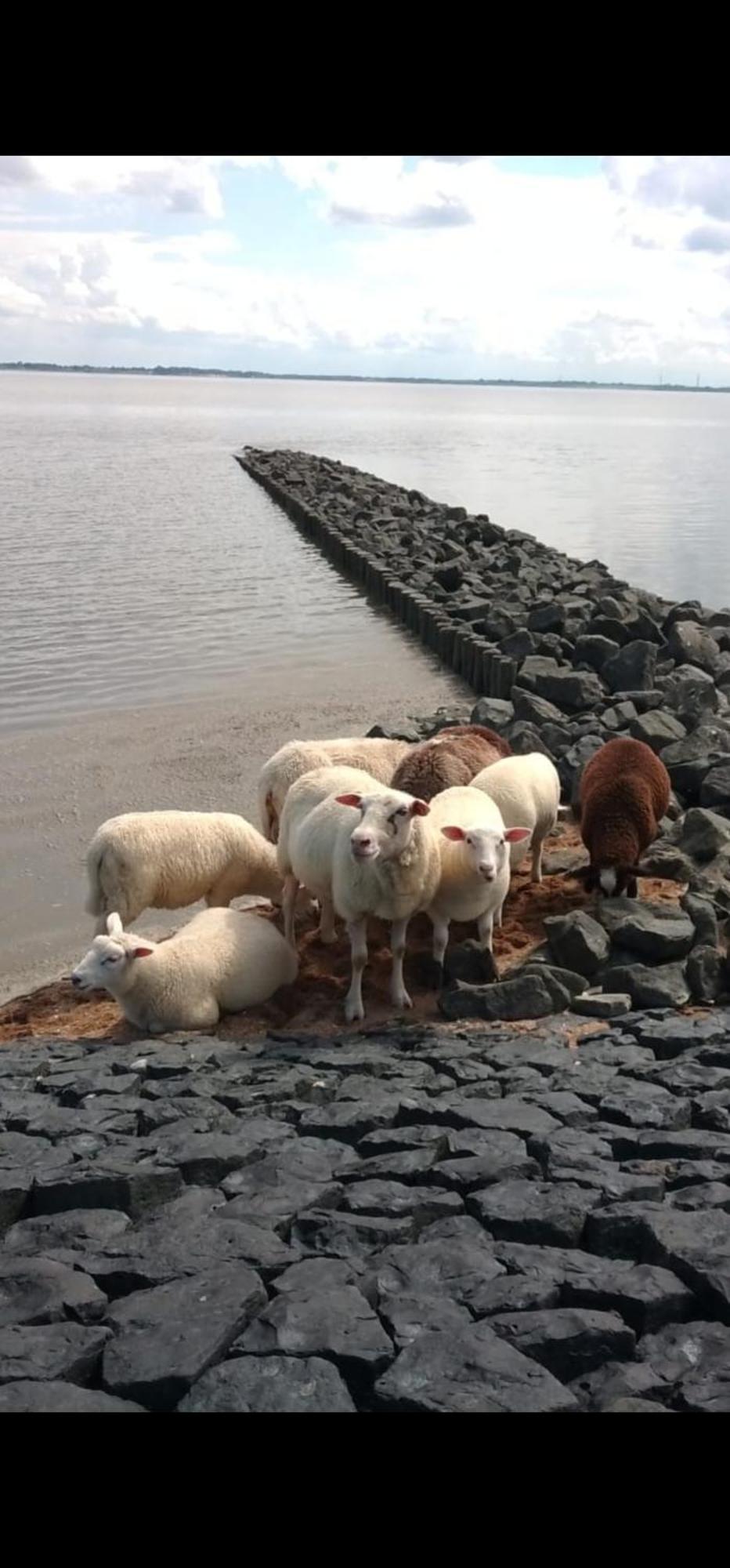 Stadtrand Wilhelmshaven Schortens Exteriör bild